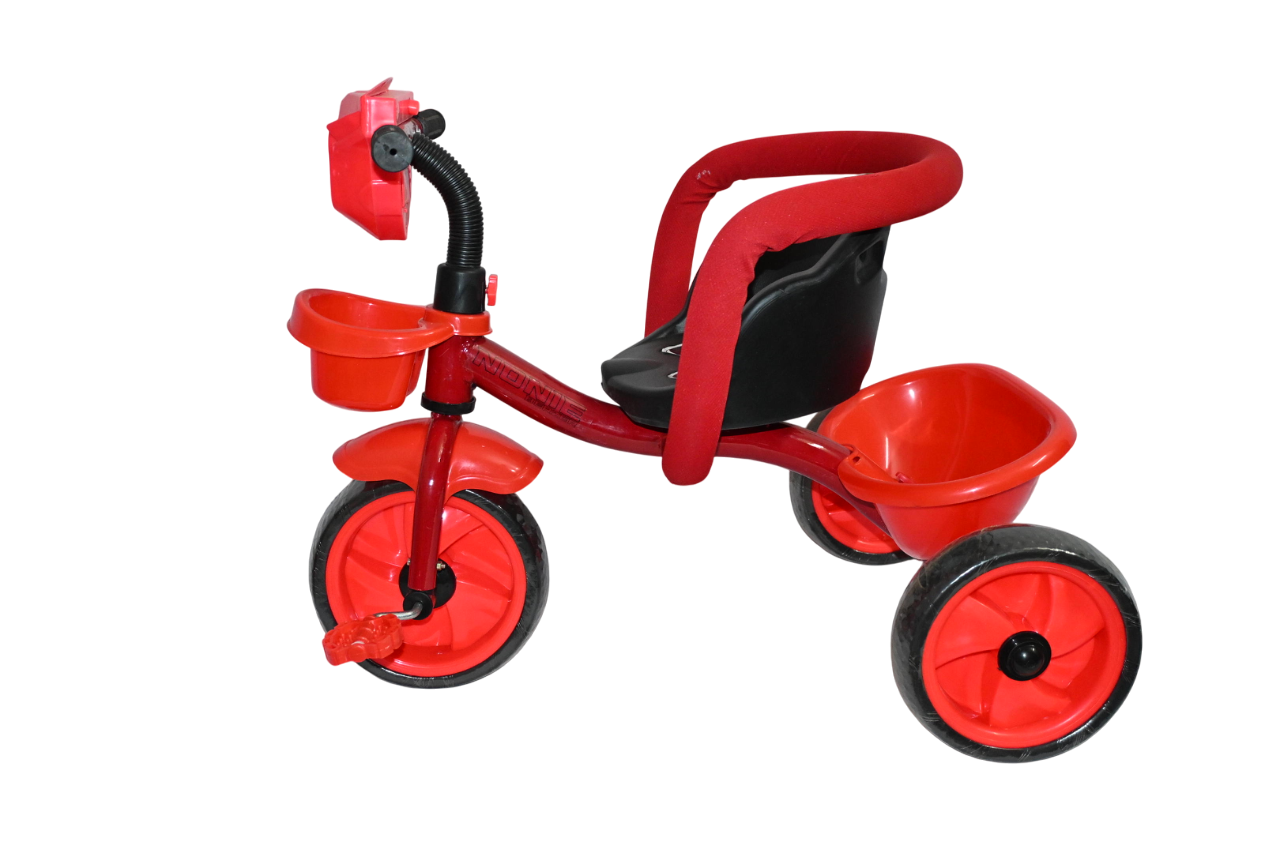 Crazy Eva Baby Tricycle by Nonie Berzer Round Support Black Tone Ages 2-5 Years