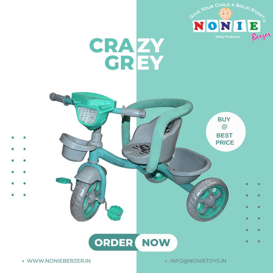 Crazy Grey Baby Tricycle by Nonie Berzer Round Support Heavy Duty Age 2-5 Years